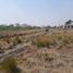  Terrain for sale in Primero De Mayo, Chaco, Primero De Mayo