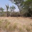  Terrain for sale in Primero De Mayo, Chaco, Primero De Mayo