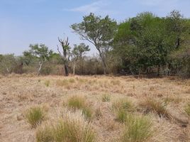  Terrain for sale in Primero De Mayo, Chaco, Primero De Mayo