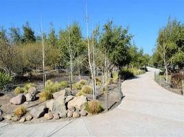  Terreno (Parcela) en venta en Santiago, Santiago, Santiago, Santiago