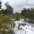  Land for sale in Rio Negro, Bariloche, Rio Negro