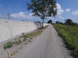  Grundstück zu verkaufen in Manlio Fabio Altamirano, Veracruz, Manlio Fabio Altamirano