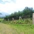  Land for sale in Malang Regency, East Jawa, Karangploso, Malang Regency