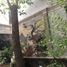  Townhouse for sale in Tan Binh Ho Chi Minh City, Ward 12