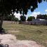  Land for rent in Merida, Yucatan, Merida