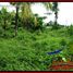  Land for sale in Selemadeg, Tabanan, Selemadeg