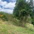  Land for sale in Dosquebradas, Risaralda, Dosquebradas