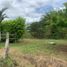  Land for sale in Dosquebradas, Risaralda, Dosquebradas