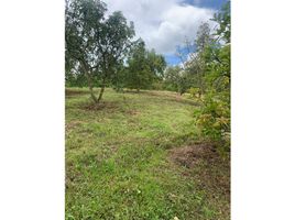  Land for sale in Dosquebradas, Risaralda, Dosquebradas