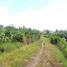  Land for sale in Malang Regency, East Jawa, Karangploso, Malang Regency