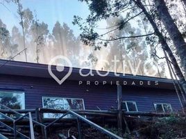 3 Habitación Casa en venta en Los Ríos, Mariquina, Valdivia, Los Ríos