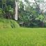  Tanah for sale in Bojong, Purwakarta, Bojong