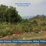  Land for sale in Tepus, Gunung Kidul, Tepus