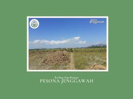  Land for sale in Jenggawah, Jember, Jenggawah