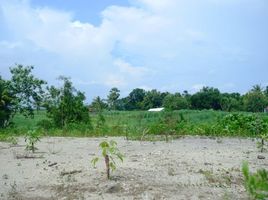  Land for sale in Yogyakarta, Kasihan, Bantul, Yogyakarta