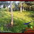  Land for sale in Selemadeg, Tabanan, Selemadeg