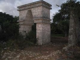  Grundstück zu verkaufen in Cancun, Quintana Roo, Cancun