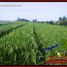  Land for sale in Tabanan, Bali, Tabanan, Tabanan