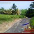  Land for sale in Tabanan, Bali, Tabanan, Tabanan