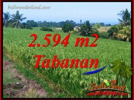  Land for sale in Tabanan, Bali, Tabanan, Tabanan