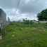  Land for sale in Guayas, Samborondon, Samborondon, Guayas