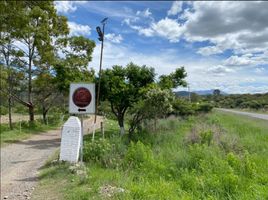  Land for sale in Silao, Guanajuato, Silao