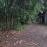  Terreno (Parcela) en venta en Seyegan, Yogyakarta, Seyegan