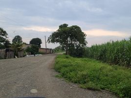  Land for sale in Naranjal, Guayas, Taura, Naranjal