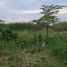  Land for sale in Naranjal, Guayas, Taura, Naranjal