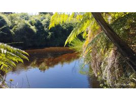 Studio Maison for sale in Ancud, Chiloe, Ancud