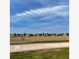  Land for sale in Torreon, Coahuila, Torreon