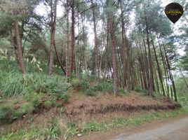  Terreno (Parcela) en venta en Tarqui, Cuenca, Tarqui