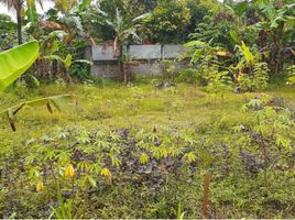  Tanah for sale in Tepus, Gunung Kidul, Tepus