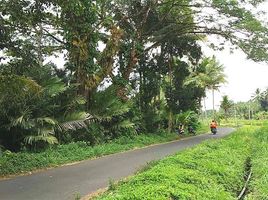  Terreno (Parcela) en venta en Seyegan, Yogyakarta, Seyegan