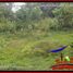  Land for sale in Kerambitan, Tabanan, Kerambitan