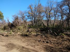  Terreno (Parcela) en venta en Lacar, Neuquen, Lacar