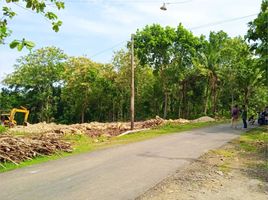  Land for sale in Yogyakarta, Pengasih, Kulon Progo, Yogyakarta