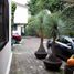 3 Schlafzimmer Appartement zu verkaufen in Cuajimalpa De Morelos, Mexico City, Cuajimalpa De Morelos, Mexico City