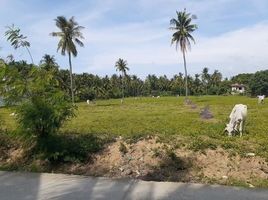  Land for sale in Carcar City, Cebu, Carcar City