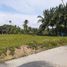  Land for sale in Carcar City, Cebu, Carcar City