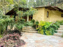 在墨西哥出租的 屋, Valle De Bravo, Mexico, 墨西哥