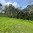  Land for sale in Popayan, Cauca, Popayan