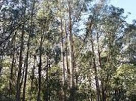  Terreno (Parcela) en venta en Araucanía, Victoria, Malleco, Araucanía