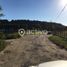  Terreno (Parcela) en venta en Los Ríos, Mariquina, Valdivia, Los Ríos
