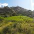  Land for sale in Loja, Vilcabamba Victoria, Loja, Loja