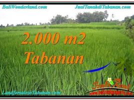  Land for sale in Marga, Tabanan, Marga