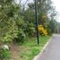  Land for sale in Chile, Pucon, Cautin, Araucania, Chile