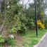  Land for sale in Chile, Pucon, Cautin, Araucania, Chile