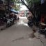 3 Bedroom House for sale in Cau Giay Hanoi, Dich Vong