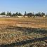  Land for sale in Chile, Colina, Chacabuco, Santiago, Chile
